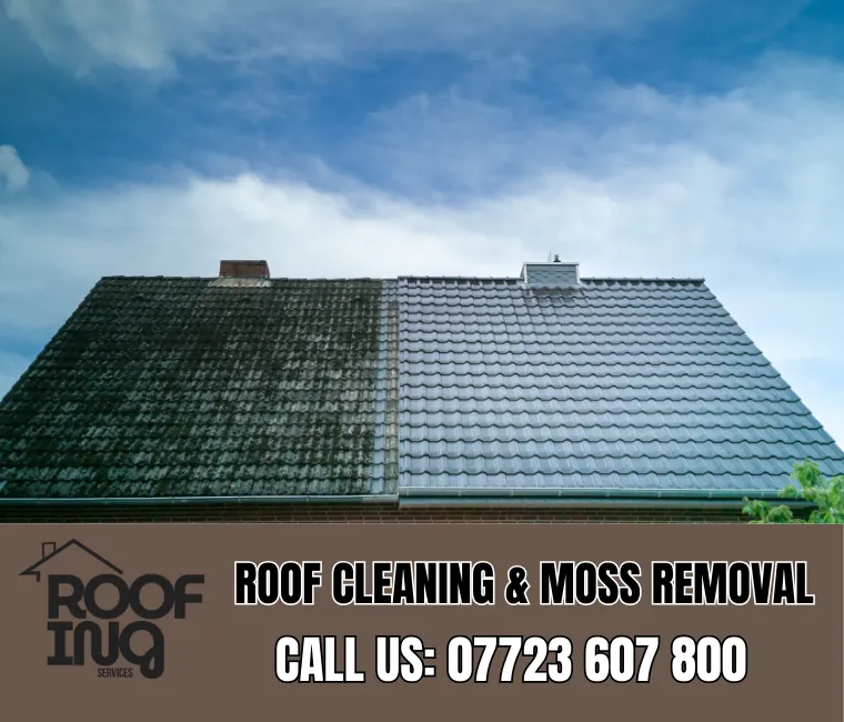 Roof cleaning and moss removal in Kingsbridge